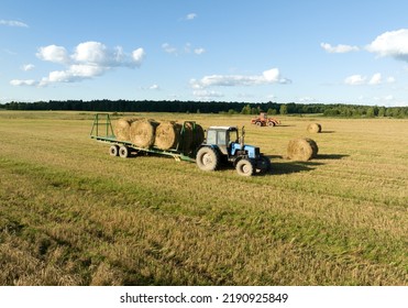 Hay Making. Front End Loader Loads Round Bales Of Straw From Hay Trailer. Storage Hay At Farm. Hay Rolls As Forage Feed For Livestock. Winter Wheat Planting, Autumn Grain Harvest, Drone View. 