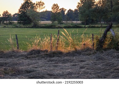 Hay On A Meadow In Mazowsze Region Of Poland