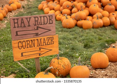 Hay Ride And Corn Maze Sign With Orange Pumpkins In The Fall