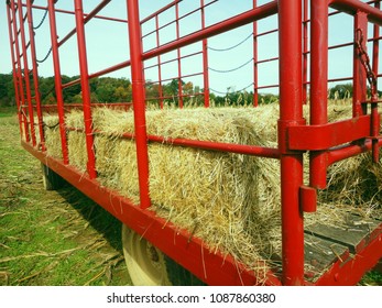 Hay Ride On Farm