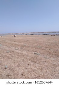 Hay roll field in the vicinity of Larnaca Cyprus
