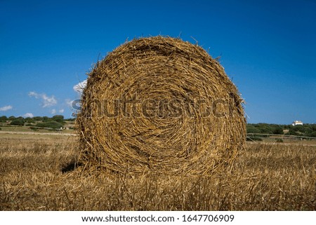 Similar – Image, Stock Photo straw bale Straw