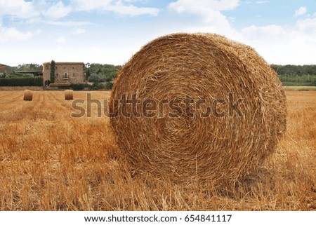 Similar – Image, Stock Photo straw bale Straw