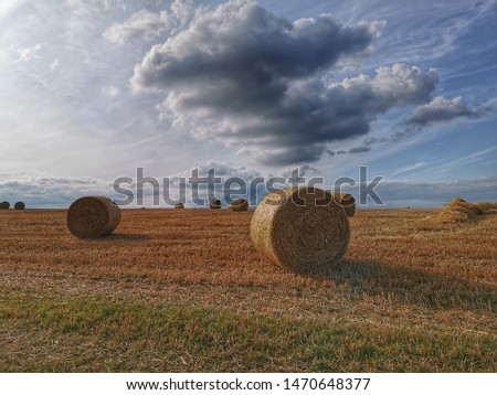 Similar – Foto Bild Wolkenformation die wie ein Vogel aussieht über einem abgeernteten Feld mit Strohballen.