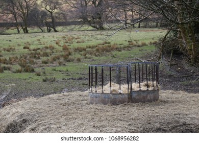 Hay In A Round Bale Feeder On A Farm In Wales, UK.