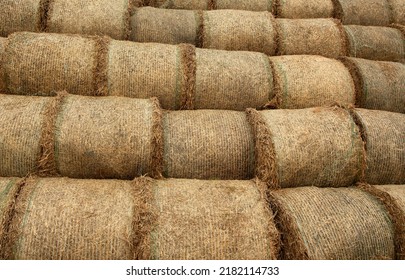 Hay stack background, texture. Hay prepared for farm animal feed in winter. Stacks dry hay open air field storage. Straw bale harvesting. Hay bale background