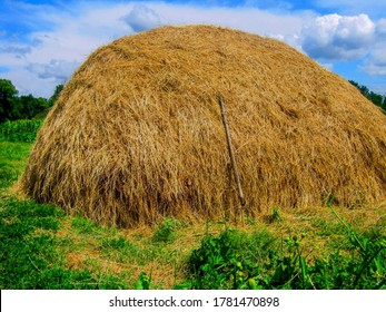 Hay stack or haystack & hayforks for horse feed on blue sky background. Mowed dry grass (hay) in stack or haystack on farm field. Hay pile stack farmer mowed for animal feeding. Big haystack harvest