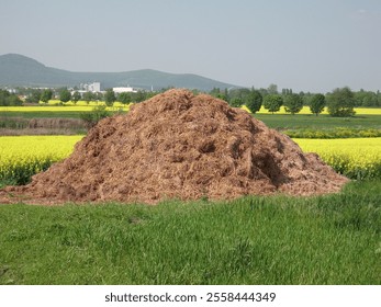 hay stack in spring landscape