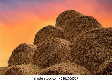 Hay Stacks On Sunset. Hay Bale Storage In Field Near Farm. Haystacks Prepared For Animal Feed In Winter. Store Hay Correctly After Wet Weather. Straw Bale Wall After Harvesting. 
