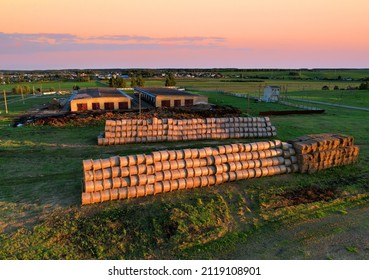 Hay Storage In Field Near Farm. Haystacks Prepared For Animal Feed In Winter. Stacks Dry Hay Open Air Field Storage On Farmland. Store Hay Correctly After Wet Weather. Silage Harvesting, Straw Bale.