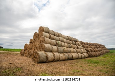 Hay Storage In Field Near Farm. Haystacks Prepared For Animal Feed In Winter. Stacks Dry Hay Open Air Field Storage. Store Hay Correctly After Wet Weather. Straw Bale Wall After Harvesting. 