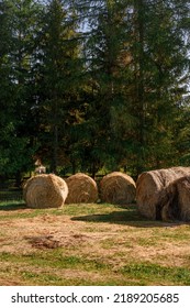 Hay Storage In Field Near Farm. Haystacks Prepared For Animal Feed In Winter. Stacks Dry Hay Open Air Field Storage. Store Hay Correctly After Wet Weather. Straw Bale Wall After Harvesting.