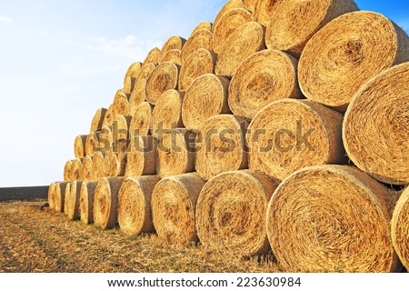 Similar – Image, Stock Photo Round bales of straw on stubble fields in a hilly landscape with trees