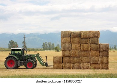 Hay Tractor Stacking Hay Bales On A Big Pile