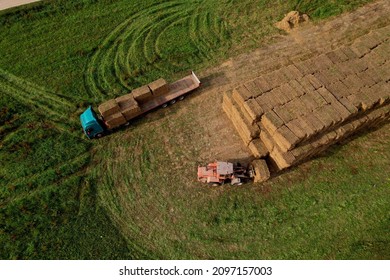 Hay Trailer With Round Bales. Front End Loader Unloading Round Bales. Store Hay At Farm. Hay Rolls As Forage Feed For Beef And Dairy Cattle, Sheep And Horses. Making Hay In Autumn Season.