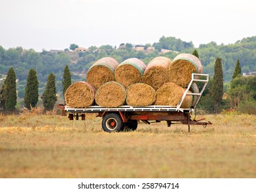 Hay Wagon On The Meadow.