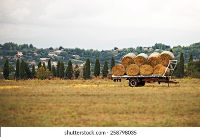 Hay Wagon On The Meadow.