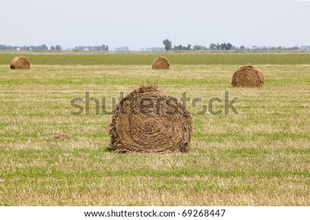 haybails