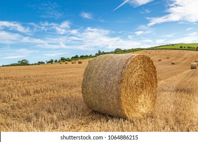 Haybale Images Stock Photos Vectors Shutterstock