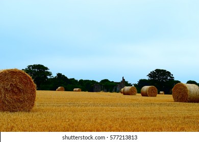 Haybale Hd Stock Images Shutterstock