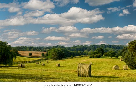 Hayfield Images, Stock Photos & Vectors | Shutterstock