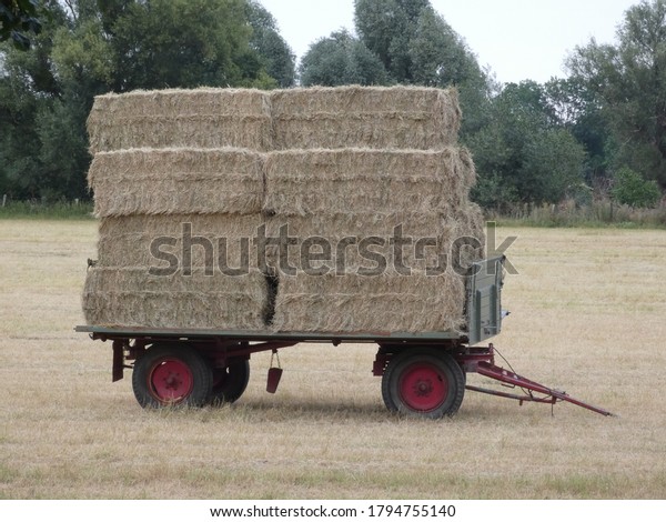 hay-filled trailer in\
the middle of the\
field