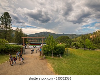 HAYFORK, CALIFORNIA, USA - JUNE 30, 2015: City Kids Arrive To The Bar 717 Ranch Mountain Ranch Summer Camp After A 5 Hour Bus Trip For 2 Weeks Of Country Style Living.