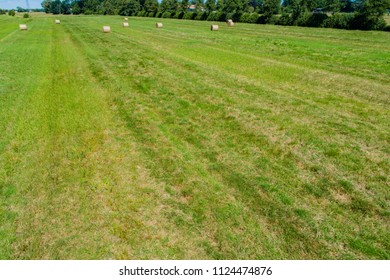 Haymaking Processed Into Round Bales Field Stock Photo 1124474876 ...
