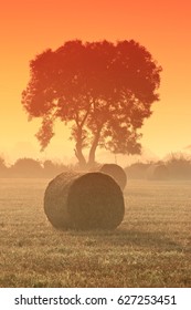 Hayrolls