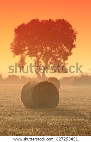 Hayrolls
