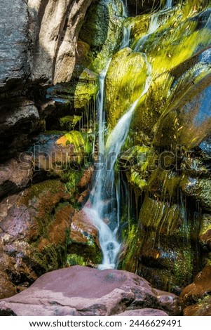 Hays Creek Falls in Colorado