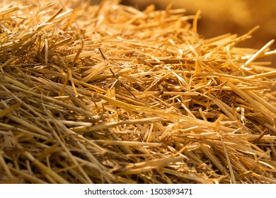 Haystack close-up. Background with sun