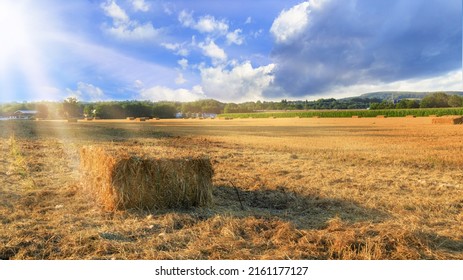 A haystack in a farm field after harvest on a sunny august evening. Rural beautiful landscape with rays of the sun.