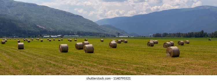 Haystack In A Farm Field During A Vibrant Sunny Summer Day. Taken In Salmon Arm, British Columbia, Canada.