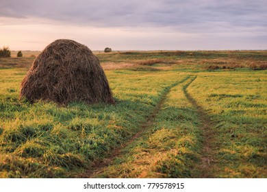 haystack in a field