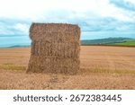 Haystack in field in England 