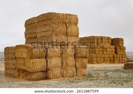 Haystack field sky. High quality photo