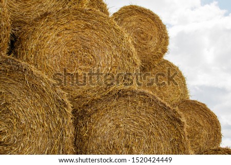 Haystack harvest spring field landscape. Haystack agriculture field landscape. Haystacks stacked on top of each other