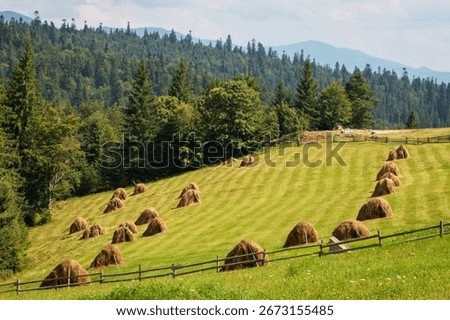 a haystack in the meadow