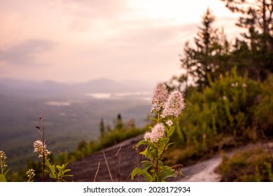 Haystack Mountain Trail - Lake Placid, Adirondacks, High-Peaks