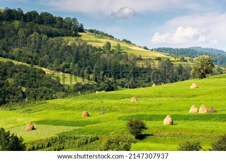 haystack on the field in morning light. beautiful rural scenery of carpathian mountains. clouds on the sky 商業照片 © 