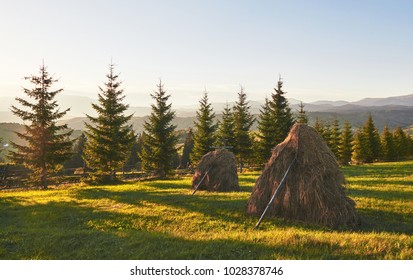 Haystack On Sunset. Meadow, Piece Of Grassland, Especially One Used For Hay. Carpathian Mountains, Ukraine.