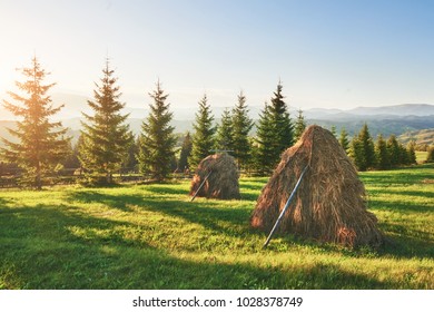 Haystack On Sunset. Meadow, Piece Of Grassland, Especially One Used For Hay. Carpathian Mountains, Ukraine.