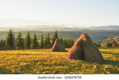 Haystack On Sunset. Meadow, Piece Of Grassland, Especially One Used For Hay. Carpathian Mountains, Ukraine.