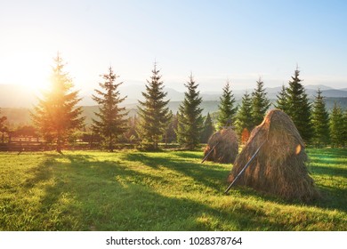 Haystack On Sunset. Meadow, Piece Of Grassland, Especially One Used For Hay. Carpathian Mountains, Ukraine.