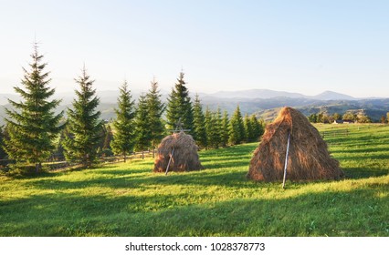 Haystack On Sunset. Meadow, Piece Of Grassland, Especially One Used For Hay. Carpathian Mountains, Ukraine.