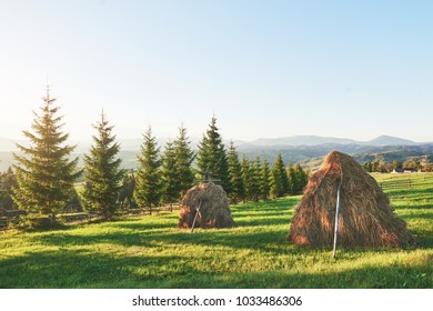 Haystack On Sunset. Meadow, Piece Of Grassland, Especially One Used For Hay. Carpathian Mountains, Ukraine.