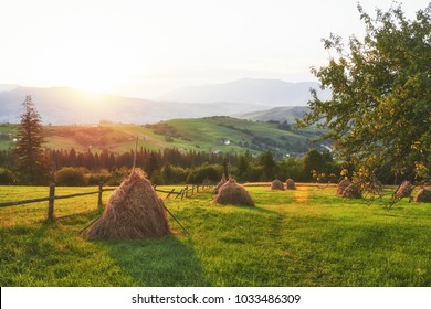 Haystack On Sunset. Meadow, Piece Of Grassland, Especially One Used For Hay. Carpathian Mountains, Ukraine.