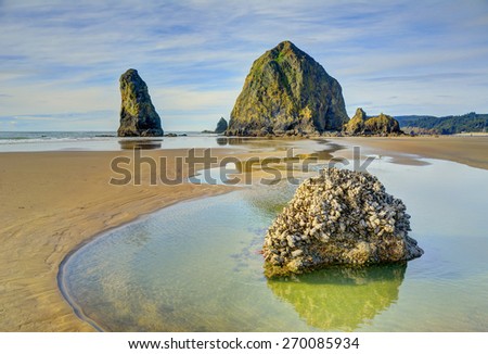Haystack Rock, Cannon Beach, OR, with beach boulder in foreground covered with mussels, barnacles, and other intertidal invertebrate animals. HDR fusion image.