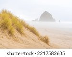 Haystack Rock at Cannon Beach Oregon and sand dunes on a foggy, misty day.